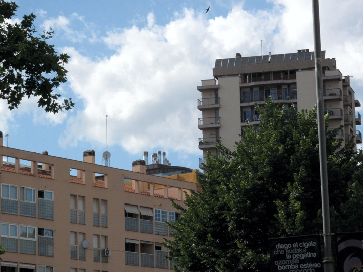 Real Estate Protection